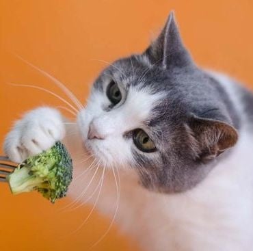 Витамини и добавки