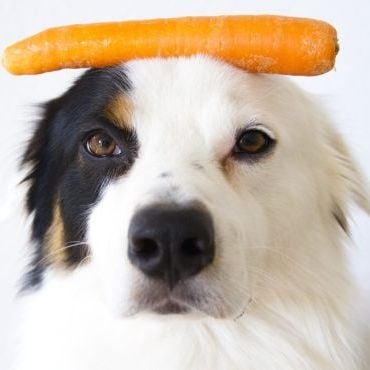 Витамини и добавки