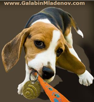 Ветеринарен кабинет "Д-р Младенов" - кабинет Люлин