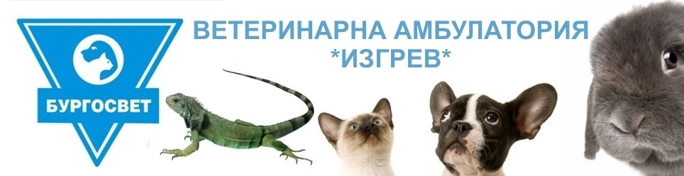 Ветеринарна амбулатория "Изгрев"