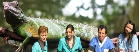 Ветеринарна клиника "Д-р Кунев"