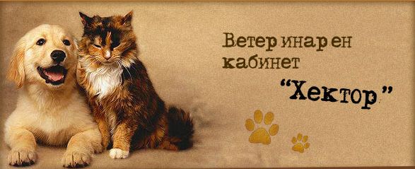 Ветеринарен кабинет "Хектор"