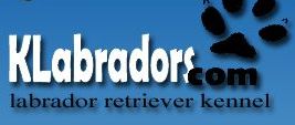 Развъдник за Лабрадор "Kalpazan"
