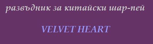 Развъдник за Шар пей "VELVET HEART"