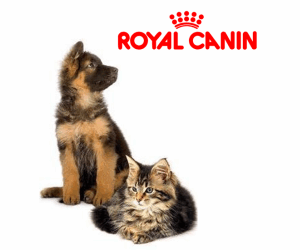 Royal Canin - Храни за домашни любимци