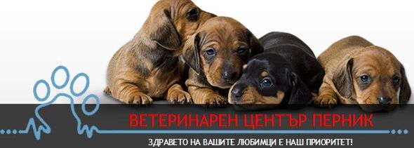 Ветеринарен център Перник