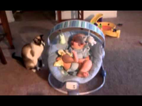 Най - добрата детегледачка