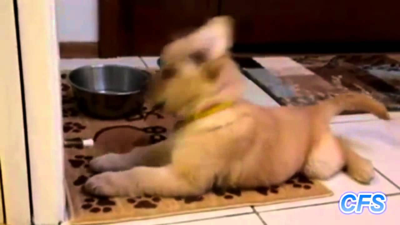 Ех тези палавници