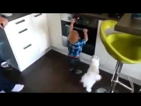 Умна котка предпазва дете от изгаряне в кухнята