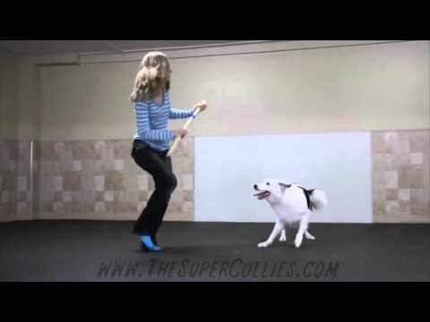 Уникално - момиче научава кучето си да танцува като нея