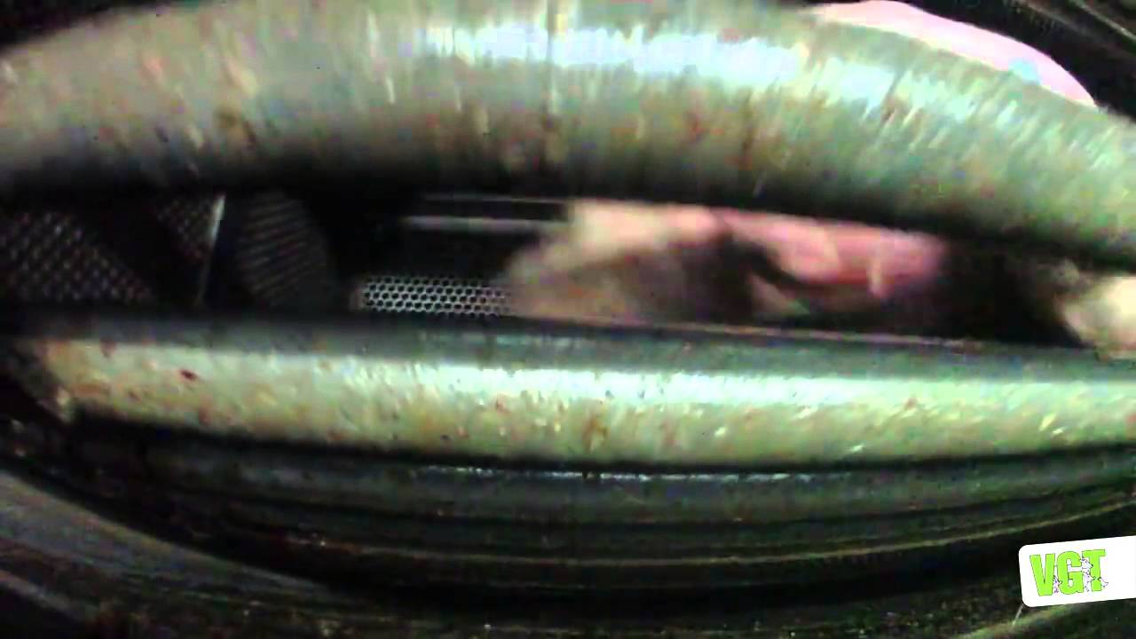 Колко сляпо може да бъде човечеството и къде е хуманността ни в случая?