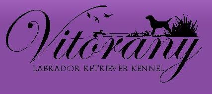 Развъдник за Лабрадор "Vitorany"