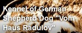 Развъдник за Немска овчарка "Vom Haus Radulov"