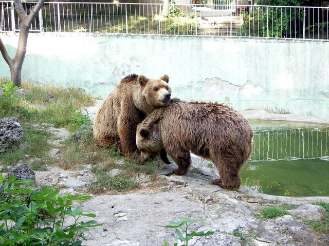 Зоопарк - Варна