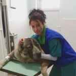 д-р Деница Русева