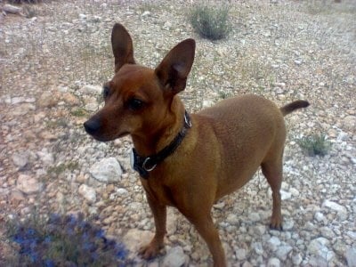 Моето Кристалче!