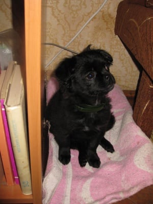 Малката принцеса- Рокси