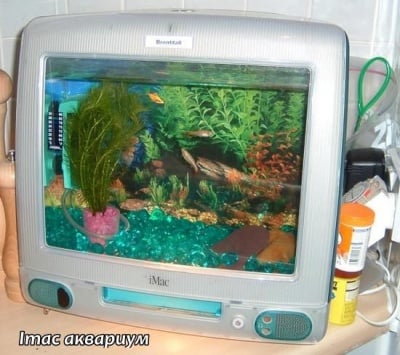 Необичайни и креативни аквариуми за рибки