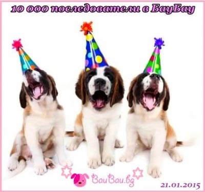 10 000 последователи в БауБау