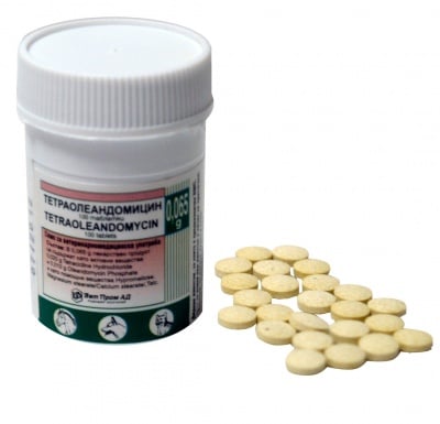 Тетраолеандомицин таблетки