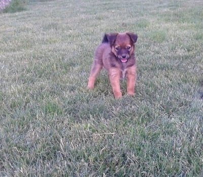 Нашият Джони