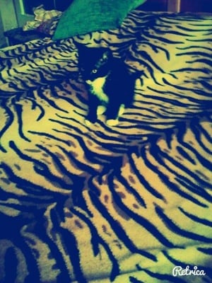 Моето пухчо!