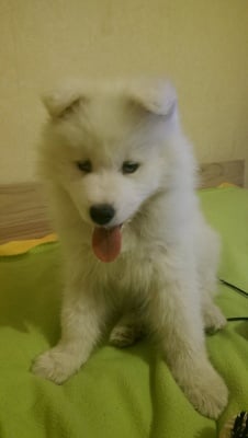 Мика на 3 месеца