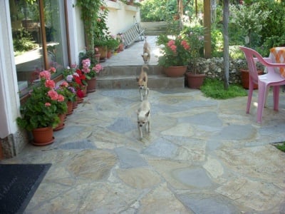 Мойте сладури