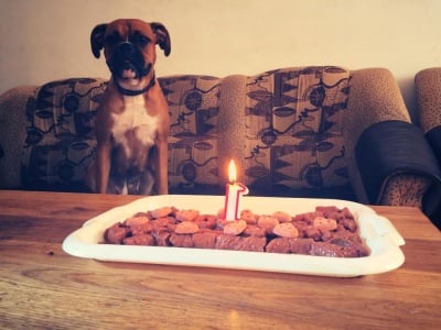 Вече съм голяма! 