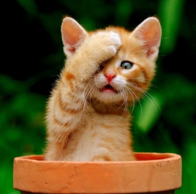 "О-о-о-х, имах тежка нощ!"