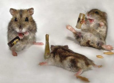 Ергенско парти :)