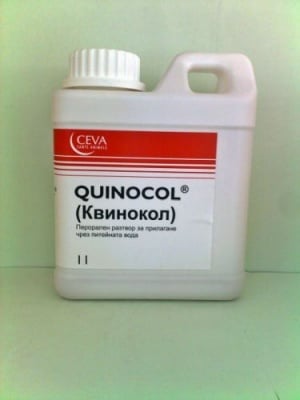 Квинокол Орален Разтвор