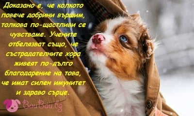 13 Ноември - Световен ден на добротата