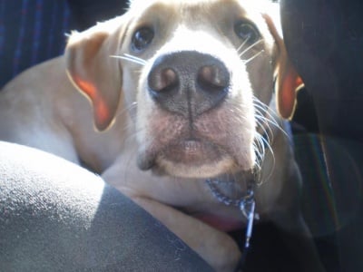 Бари търси гадже :)