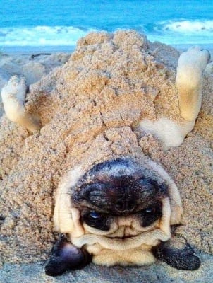 "Така вече се живее"