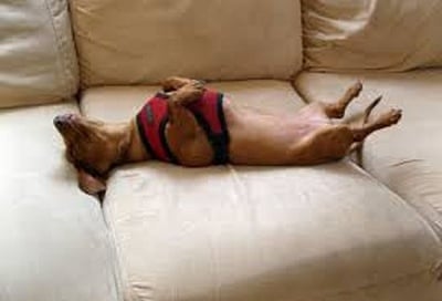 Уморен герой