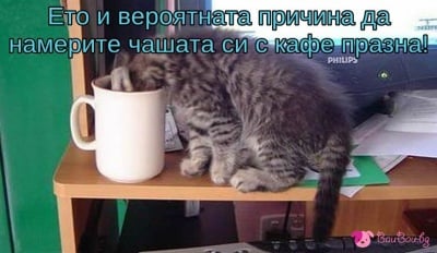 И ако кафето ви изведнъж изчезне ...