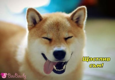 "Нека да е петък, само да е петък!"