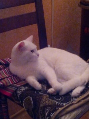 Спас е в лошо настроение☺