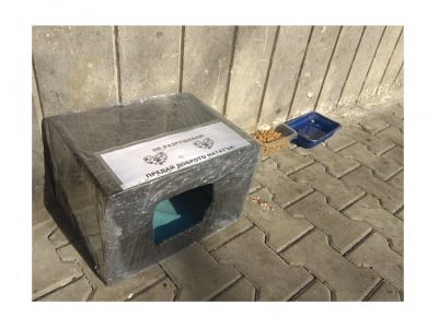 Ето как да направим къщичка за бездомни котки с домашни материали