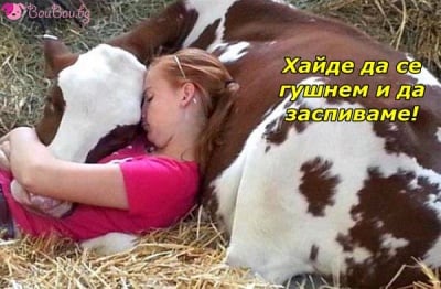 Най - удобната възглавничка