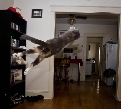 Излитаме-е-е-е