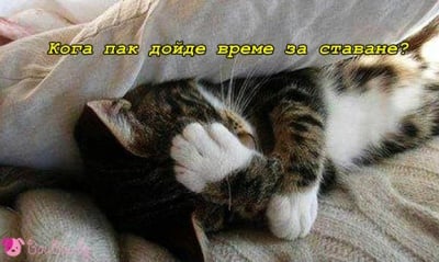 "Всяка сутрин се питам едно и също ..."