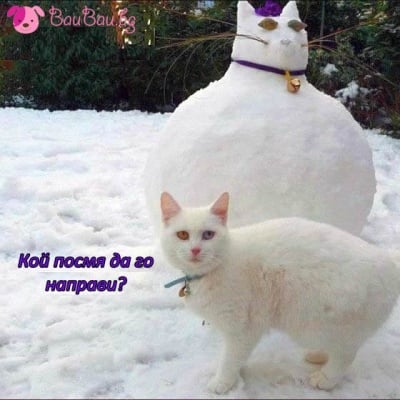 "Кой беше виновника, бързо да си признае?"