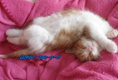 Ето това е протягане!