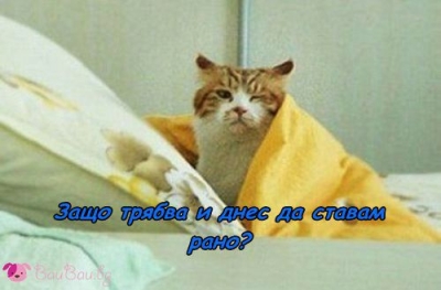 Несправедливост