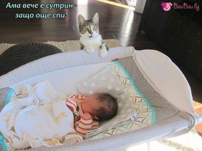 "Ставай да си играем де-е-е-е"