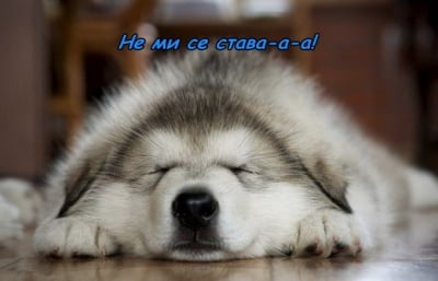 Пухкав поспаланко