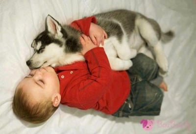 За лека нощ