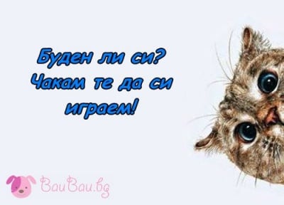 Старт на деня